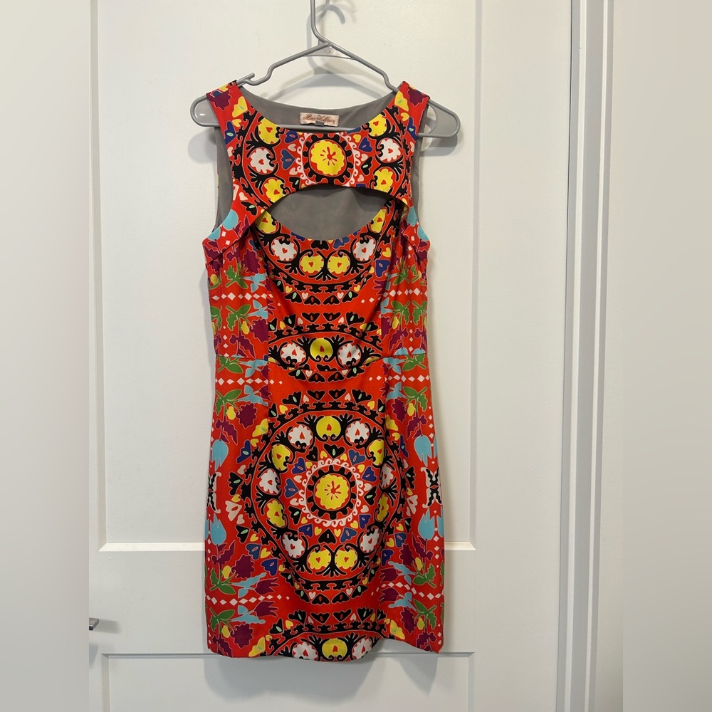 Gorgeous Mara Hoffman dress